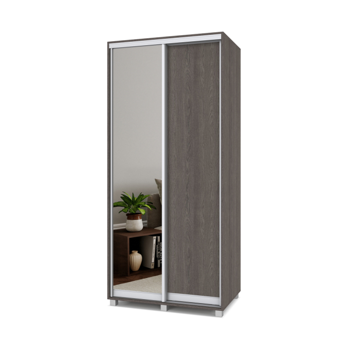Шкафы-купе, Шкаф-купе 2-дв  Роланд Р602  (в2200*ш1000*г600)