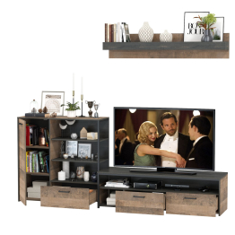 Тумба под аппаратуру и ТВ с комодом с дверкой и навесной полкой Трувор