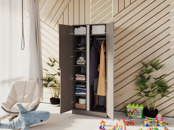 Шкаф распашной Монс 2, 100x230x55