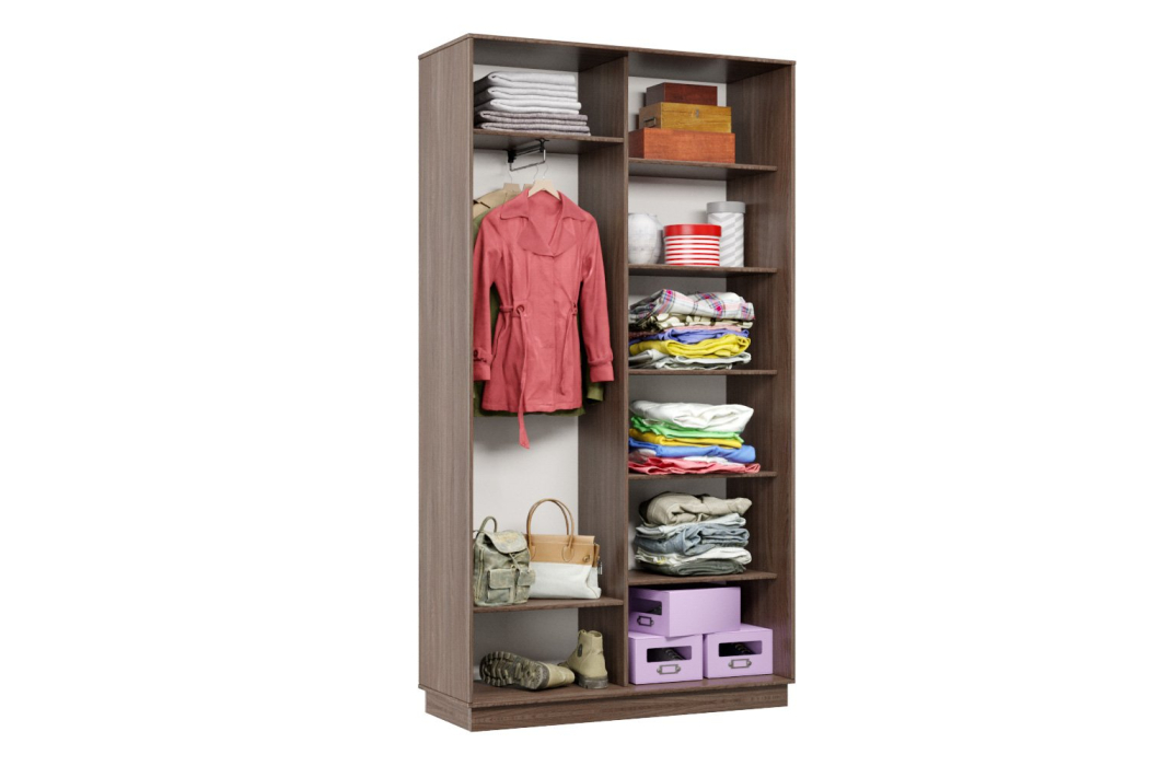 Шкафы-купе 2-х дверные, Шкаф-купе Премьер Лайт МИНИ 03 (04;04) двухдверный