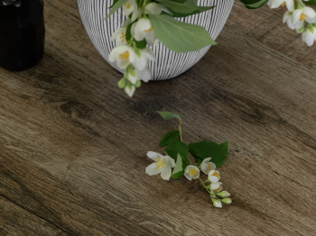 Стол журнальный Мебелик BeautyStyle 4