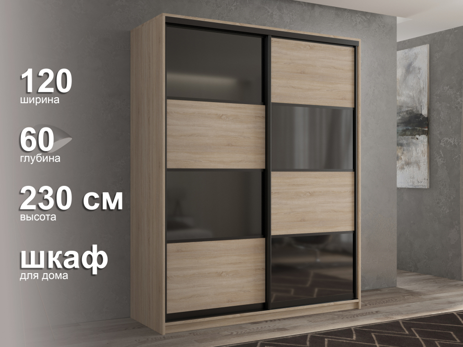 Шкафы-купе 2-х дверные, Шкаф-купе 2х дверный Кааппи 13 120х60