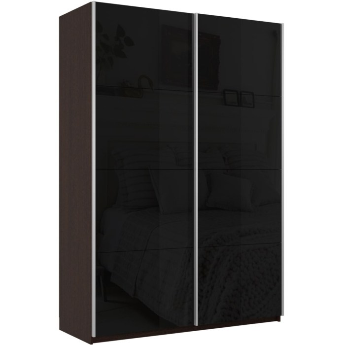 Шкафы-купе 2-х дверные, Шкаф-купе Прайм 2-х дверный Стекла черные/Доводчики 120х57х230