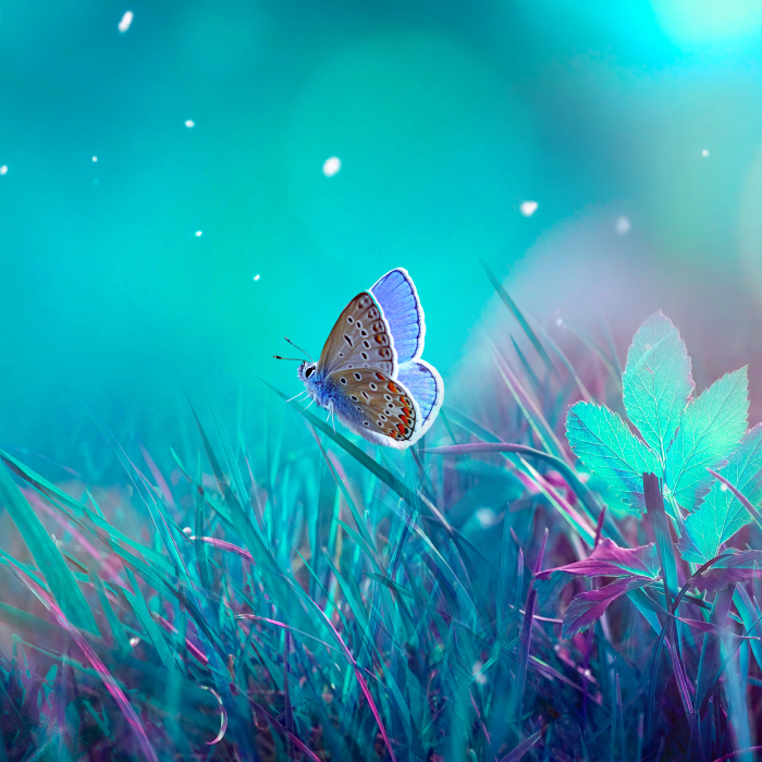 Стеновые панели/Фартуки, Интерьерная панель из стекла 600*600*6 мм MGF66_фантазия