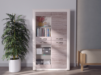 Шкаф-витрина 2V2D