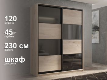 Шкаф-купе 2х дверный Кааппи 13 120х45