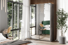 Шкафы-купе 2-х дверные, Шкаф-купе Smart 1222 2х дверный (фасады зеркало) профиль серебро