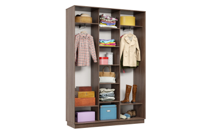 Шкаф-купе Премьер 19 (15;15;15) трёхдверный