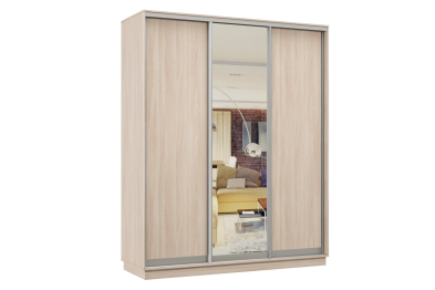Шкаф-купе Премьер Лайт 23 (02;01;02) трехдверный