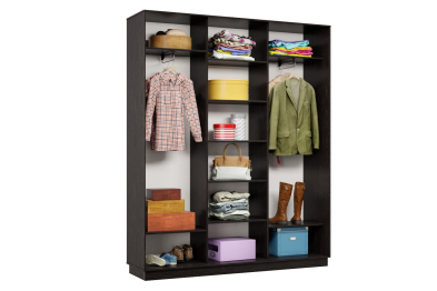 Шкаф-купе Премьер Лайт 27 (02;01;02) трехдверный