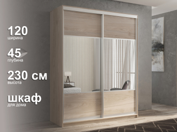 Шкаф-купе 2х дверный Кааппи 6 120х45